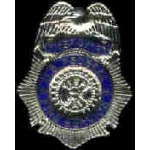 FEDERAL FIRE SERVICE FIREFIGHTER MINI BADGE PIN